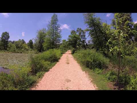 ASMR Hiking Binaural Hiking on a Gravel Trail, Blue Skies, and Relaxing Bird Chirping