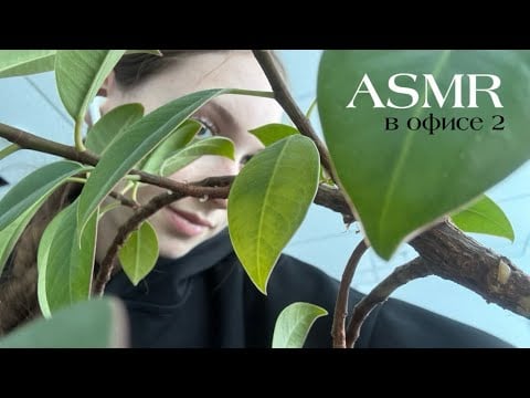 asmr | в офисе 2 полный рандом