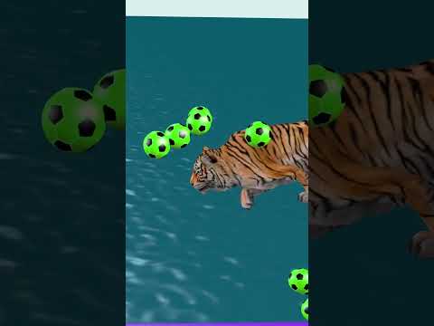 Long Slide 3D Animation: Hulk, Tiger, #shortvideo #shorts #3danimation #hulk #tiger #cartoonforkids