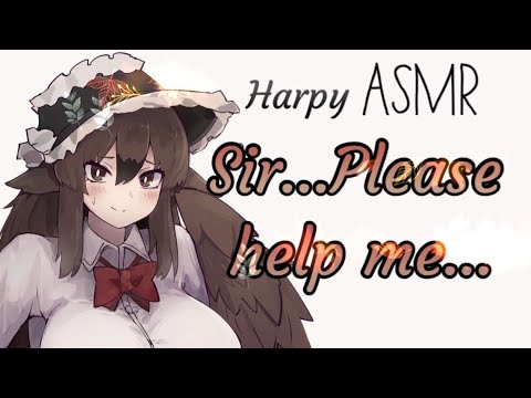 🍂 Confused Harpy Needs Your Help [F4M] [Monster Girl] [Wholesome] [WaifuASMR] [Roleplay]