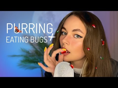 ASMR PURRING SOUNDS & Eating Bugs | tingles are 100% guaranteed