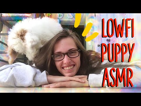 LOWFI PUPPY ASMR so cute