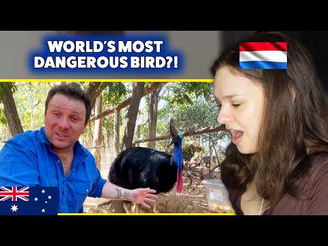 European Reacts to 10 Crazy Cassowary Facts You Didn’t Know 🇦🇺