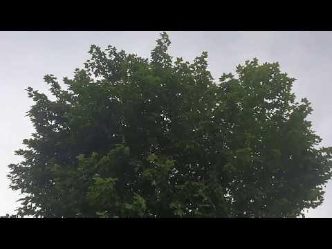 ASMR Français 🎧 La nature  nous dévoile, ses plus beaux déclencheurs 🎧
