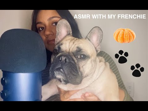 ASMR With My French Bull Dog