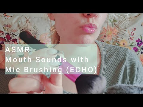 ASMR - Mouth Sounds with Mic Brushing (ECHO)