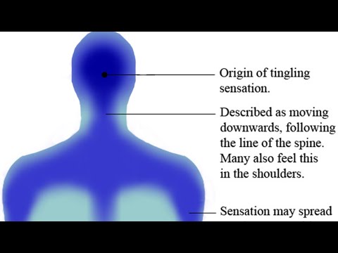 What is ASMR? Are you still a virgin?