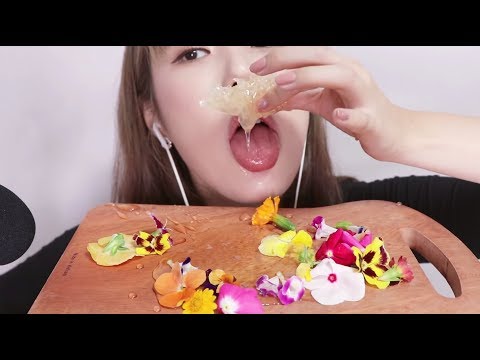 [Eating Sound]밤비 벌꿀집 식용꽃 먹방 ASMR│Ear ASMR│RealSound│Honeycomb asmr│벌꿀먹방│리얼사운드│입소리│Mukbang│Honeycomb