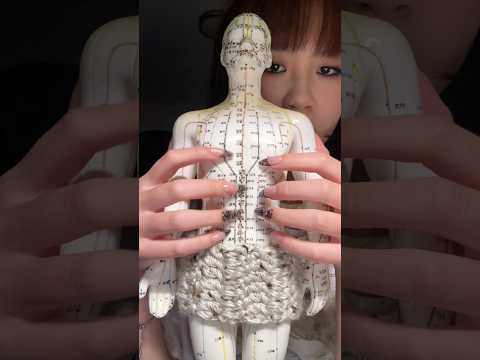 tapping and scratching on acupuncture man doll #asmr #relaxing #tapping #acupuncturedoll