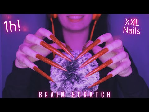 Asmr Mic Scratching - Brain Scratching | Brain Melting Asmr No Talking for Sleep with Long Nails 1H