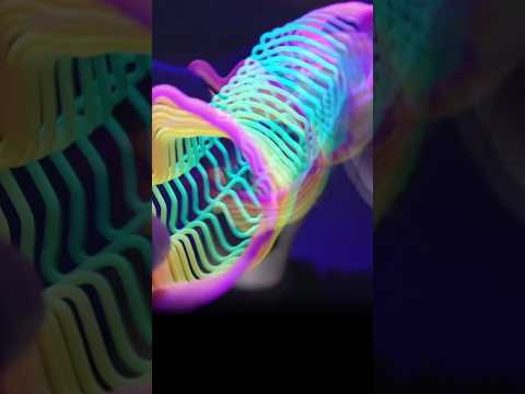 Slinky Hypnosis 😵‍💫 Black Light ASMR