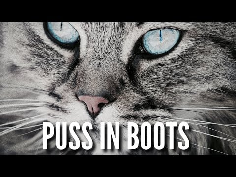 PUSS IN BOOTS by The Brothers Grimm 1812 | ASMR Reading for Anxiety, Insomnia, and PTSD