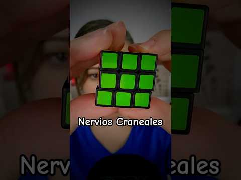 ASMR | Test Rápido de Nervios Craneales | Español #shorts