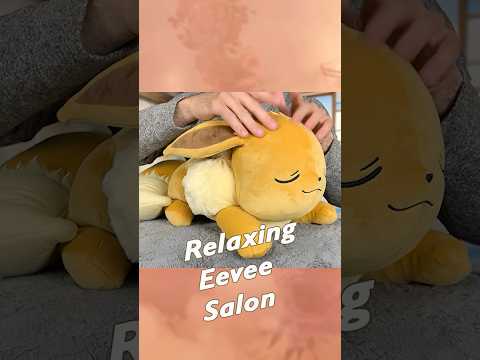 ASMR salon for your Eevee |  #asmr #pokemon #asmrhaircut #asmrsounds #asmrvideo