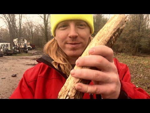 ASMR | Massaging Trees in the Rain