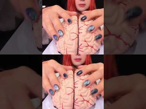 ASMR 🧠 BRAIN TINGLES... Literally! Sleep & Relaxation #asmr #shorts
