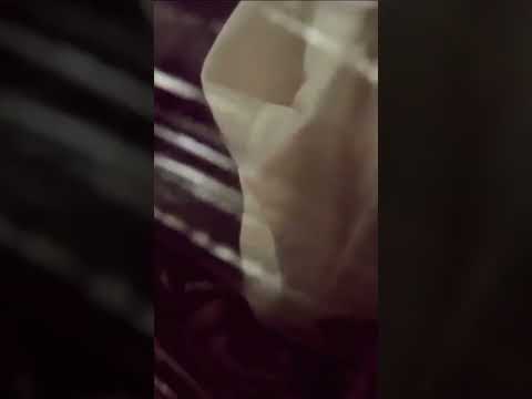 #asmr #doctor #zombie #spooky #plastic #crunchy #halloween #relaxing #tingles #alwaysthankful
