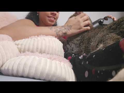 Cat Asmr ( Purring & Scratching Sounds)