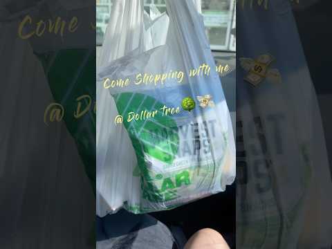 Come Shopping with Me at Dollar tree 💸ASMR 💸