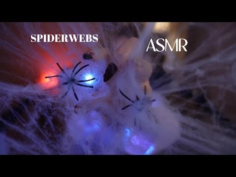 ASMR | Spiderwebs 🕸️🕷️ (mouth sounds, echo, light)