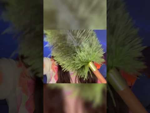 ASMR Brushing Your Face with a Feather 🪶