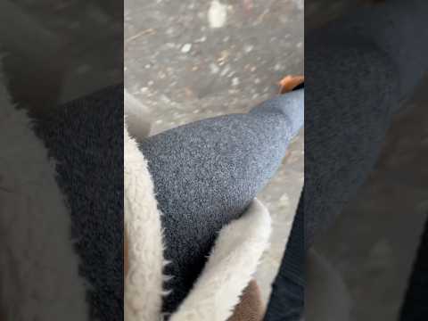 ASMR auf dem Weg zu der nächsten Bank, damit ich endlich mal entspannen kann. 💝