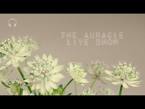 The Auracle Live Stream 26th Nov 23:30 GMT Late night chill, tingles and live requests!  :)