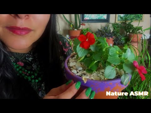 ASMR HERBOLOGY UNINTELLIGIBLE GREENHOUSE VISIT