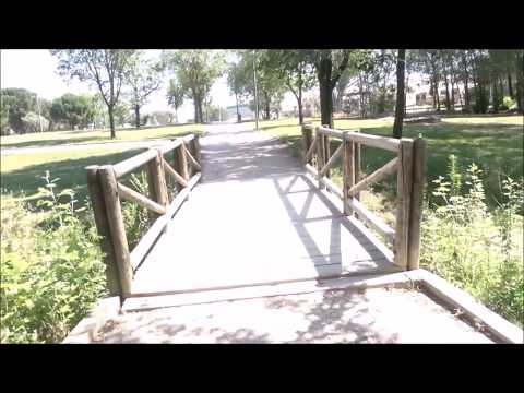 Paseo por el parque [ASMR outdoor en español]