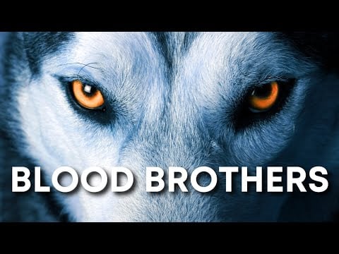 ASMR | (1) BLOOD BROTHERS - Dylan Altoft - Reading for Sleep, Anxiety + Spooky Forest Ambience