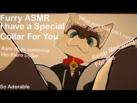 [Furry ASMR] I have a Special Collar for you, Cat version