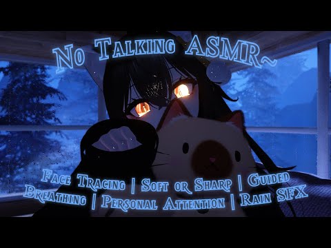 No Talking Comfort ASMR~ Rain SFX With LOTS of Personal Triggers~