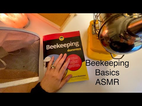 Let's Learn About Beekeeping ~ Soft Spoken Unintentional ASMR No Frills