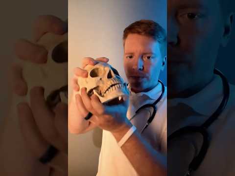 ASMR Doctor | Fixing Your Jaw #asmr