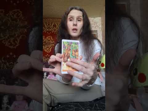 Асмр. Таро расклад на 24.10.2026. Лёгкий массаж. 😊