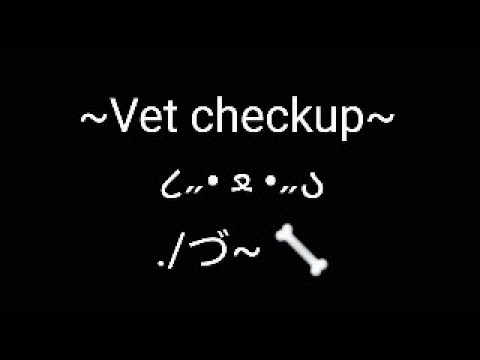M4M | A cute pup goes to the veterinarian for a checkup | ASMR