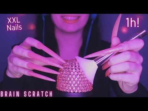 Asmr Mic Scratching , Brushing & Stroking | Brain Melting Asmr No Talking for Sleep - Long Nails 1H