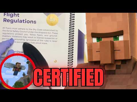 ASMR Sleep | Minecraft  Villager Instructor Conducts YOUR Flight Orientation