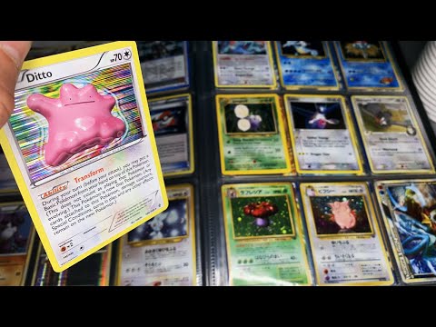 [ASMR]📔Showing Me Your Pokémon Card Collection in the Library📔| Close Whispering, Personal Attention