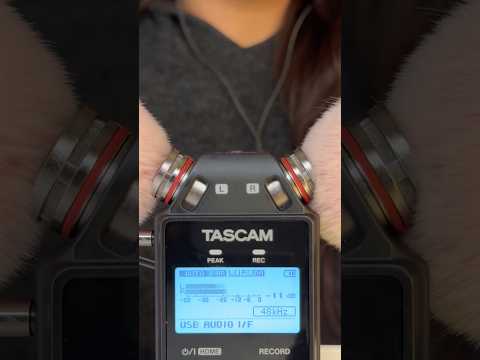 ASMR brain melting triggers using Tascam microphone 💤🌙 #asmr