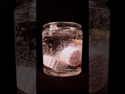 ASMR Flower Shop Bath Bombs 🌼