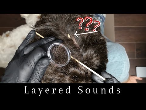 Real Person ASMR Lice Check and Scalp Inspection 7.2 Layered Sounds