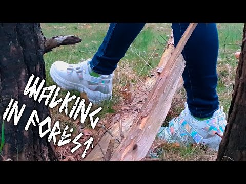 ASMR Footstep Sounds 💎 Walking in Forest, No Talking, Forest Sounds