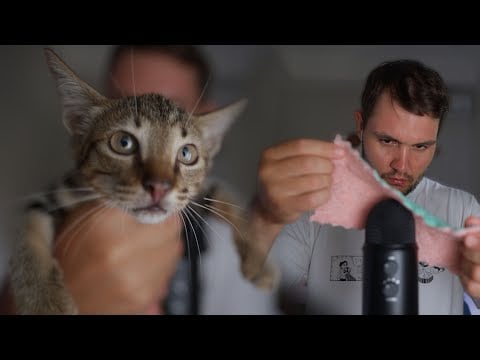 ASMR Mic Triggers + Cute Kitty