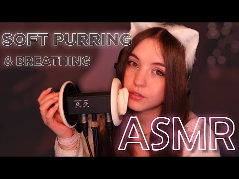 ASMR 🩷 Soft Purring & Breathing 🩷 1 Hour 🩷 No Talking (except intro) 🩷