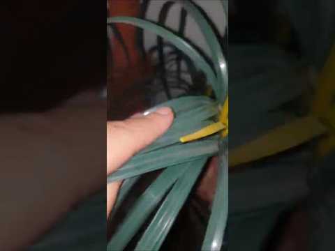 super fast plastic tree scratching ASMR #fastasmr #scratchingasmr #asmrvideo #asmr #asmrsleep