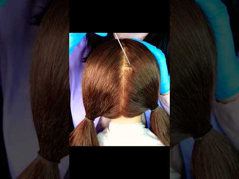 Close-Up Rattail Sounds