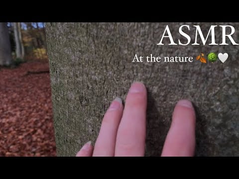 asmr // at the nature! 🤩🌿🍂