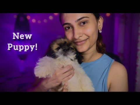 Asmr Meet My New Puppy! 🐶🫶🏻🧿