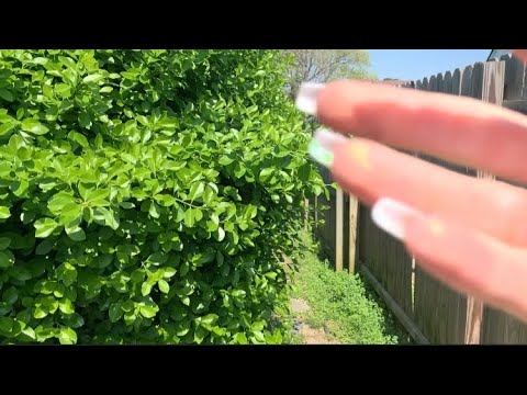 fast & aggressive ASMR outside, custom for Gabriela✨